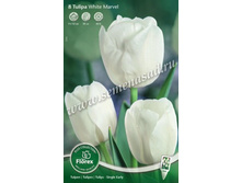 ������� ���� ������.jpg