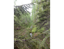 IMG 20160522 143912.jpg