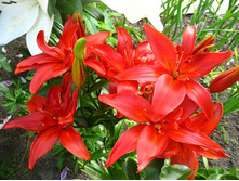 ����� �������.jpg