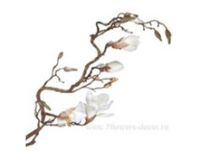 3661864013369 ����� ������������� ��������, 140�� 24 1062,6.jpg