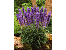 ������ 90��� � ������� 15��.jpg