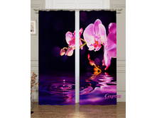 02656 ��������� "������� ��� �����"