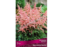 �������� ������� ���������� �����.jpg