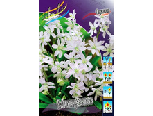 17,67���. ������ �������(��� 7 ��. ���������� ������ 3 ��� 4 ��.).jpg