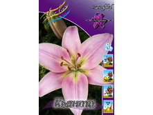 25,3���. ����� ������(��� 5 ��. ���������� ������ 2 ��� 3 ��.).jpg