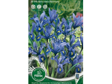 ���� �������� ��������.jpg