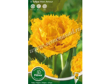 ������� ��� ����.jpg