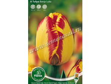 ������� ����� ����.jpg