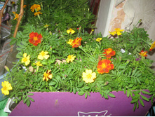 ��������. ������� � ��������.