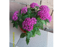 12800030187300429 (1).jpg