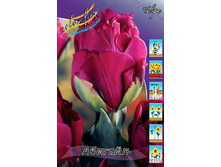 18,5���. ������� �������(��� 10 ��. ���������� ������ 5��.).jpg