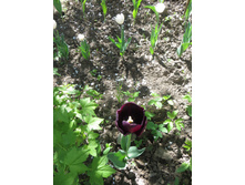 �����. ������ �����. �� ���������!