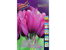 20,37���. ������� ����� �����(��� 10 ��. ���������� ������ 5��.).jpg