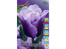 17,18���. ������� ��� �����(��� 10 ��. ���������� ������ 5��.).jpg