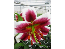 42,49���. ����� ������ ��������(�������� ���� �� 7 ��., ����������� ����� 1��.).jpg