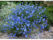 ��� ������� ������ 80���.jpg