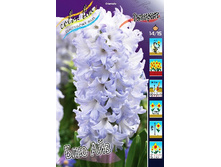 25,76���. ������� ��� ���(��� 5 ��. ���������� ������ 2 ��� 3 ��.).jpg