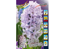 23,88���. ������� ���� �� ��������(��� 5 ��. ���������� ������ 2 ��� 3 ��.)���15.jpg