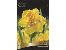 ������� ���� ���� �����.jpg