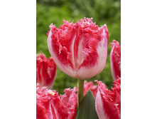 38,46���. ������� �������(��� 7 ��. ���������� ������ 3 ��� 4 ��.)���16.jpg