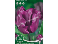 ������� ��� ����.jpg