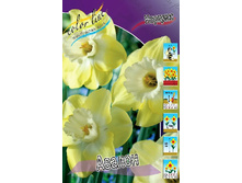 25,05���. ������� ������(��� 10 ��. ���������� ������ 5��.).jpg