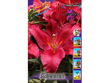 42,4���. ����� ������(�������� ���� �� 5 ��., ����������� ����� 1��.)���16.jpg