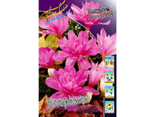 129,95���. �������� ��������� (����������.)(�������� ���� �� 2 ��., ����������� ����� 1��.).jpg