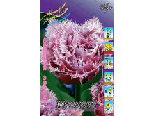 24,11���. ������� �������(��� 10 ��. ���������� ������ 5��.).jpg