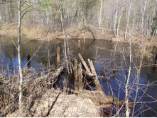 �. �����