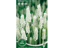 ������� ������������ ������.jpg