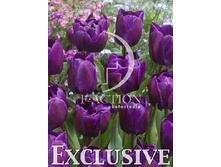 17,18���. ������� ������� ����(��� 10 ��. ���������� ������ 5��.)���16.jpg