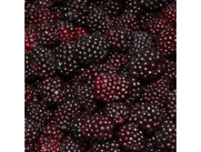 ������������ ������� ���� 1 �� - 155,00