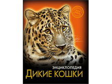 1448449054 9ad94f23b755da5b25d0f211bcc165eb.png