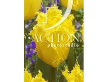 29,73���. ������� ������ �������(��� 10 ��. ���������� ������ 5��.)���16.jpg