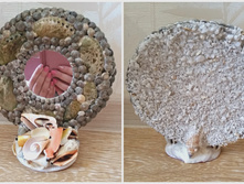 ������� " ���� ����" , ��������, 500�