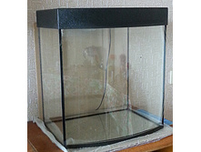 60 ������ - ��������.jpg