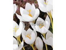 15,04���. ������ ����. ������ (����������.)(��� 7 ��. ���������� ������ 3 ��� 4 ��.)���16.jpg