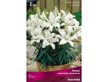 ����� ��������� ��������� ��� ����.jpg