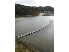 DSCN0615.JPG