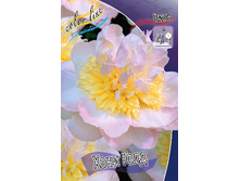 352���. ���� ���� ����(�������� ���� �� 1 ��., ����������� ����� 1��.).jpg