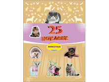 1454059994 1da703a96016693e164c2bdd4071ebfc.png