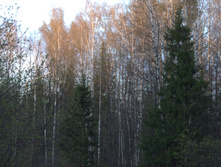 IMG 6706.jpg