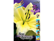 44,9���. ����� ��� ������(�������� ���� �� 4 ��., ����������� ����� 1��.).jpg