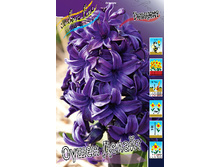 33,24���. ������� ����� ������(��� 5 ��. ���������� ������ 2 ��� 3 ��.)���15.jpg