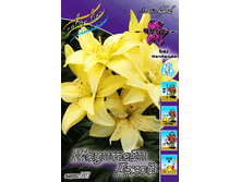 25,3���. ����� �������� ����(��� 5 ��. ���������� ������ 2 ��� 3 ��.).jpg