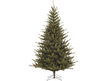 �� ��� ������ �������