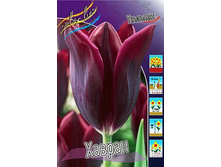 18,5���. ������� ������(��� 10 ��. ���������� ������ 5��.).jpg