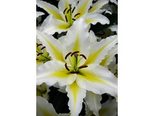 29���. ����� ���������(��� 7 ��. ���������� ������ 3 ��� 4 ��.).jpg