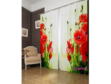 03563. ��������� "���� �� ������� ����"